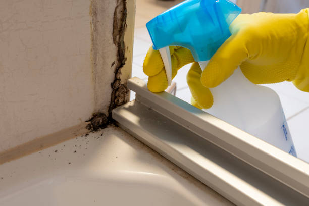 Mold Testing and Removal in Atkinson, NE