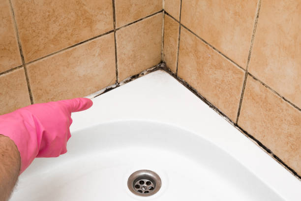 Best Commercial Mold Removal  in Atkinson, NE